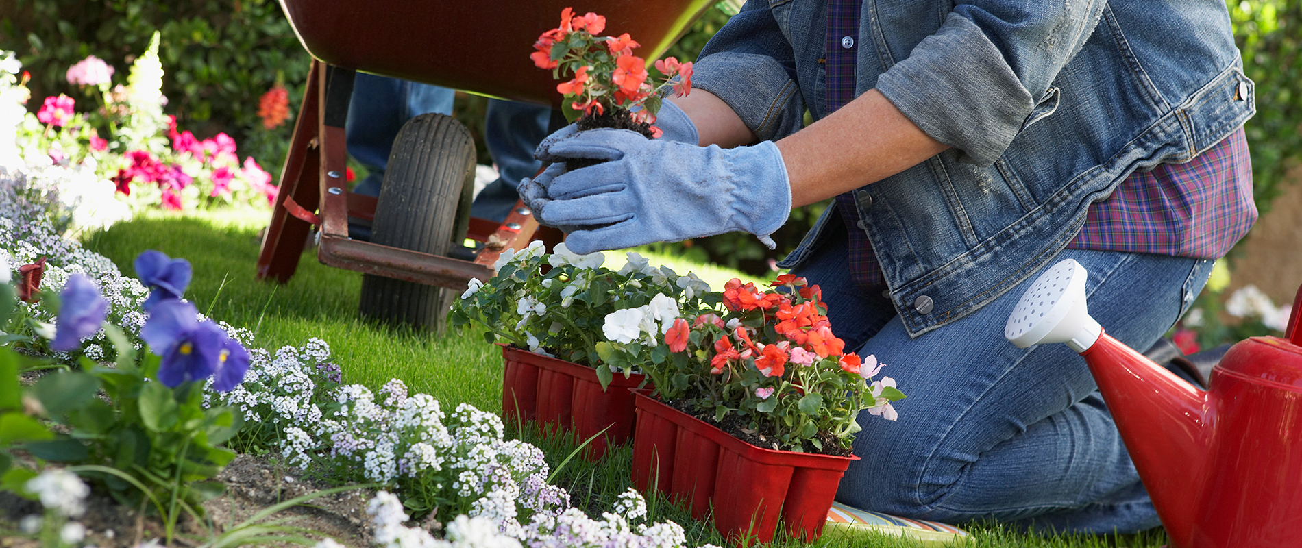 Maart: planten