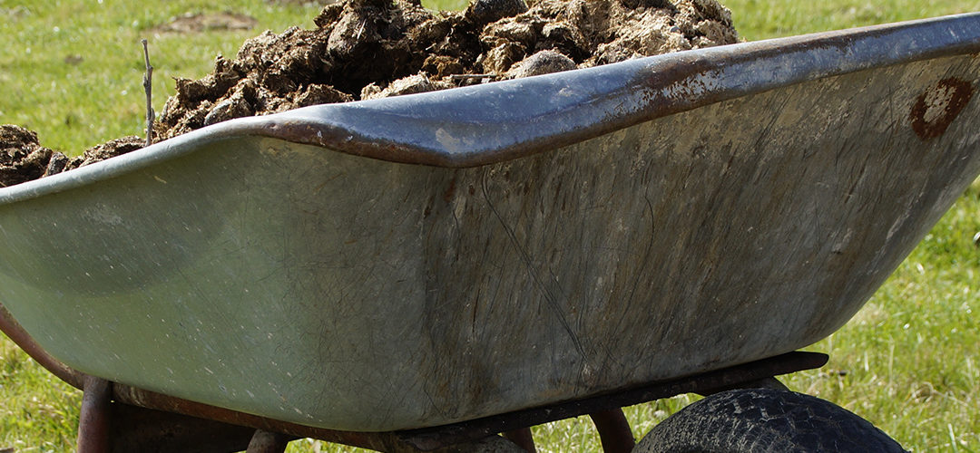 Wat te doen in augustus