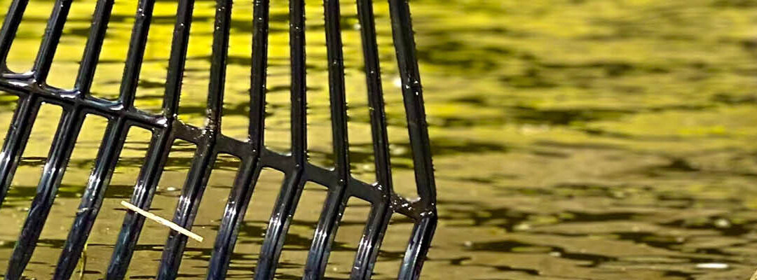 Vijvers en vlinders